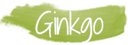 Ginkgo