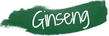 Ginseng
